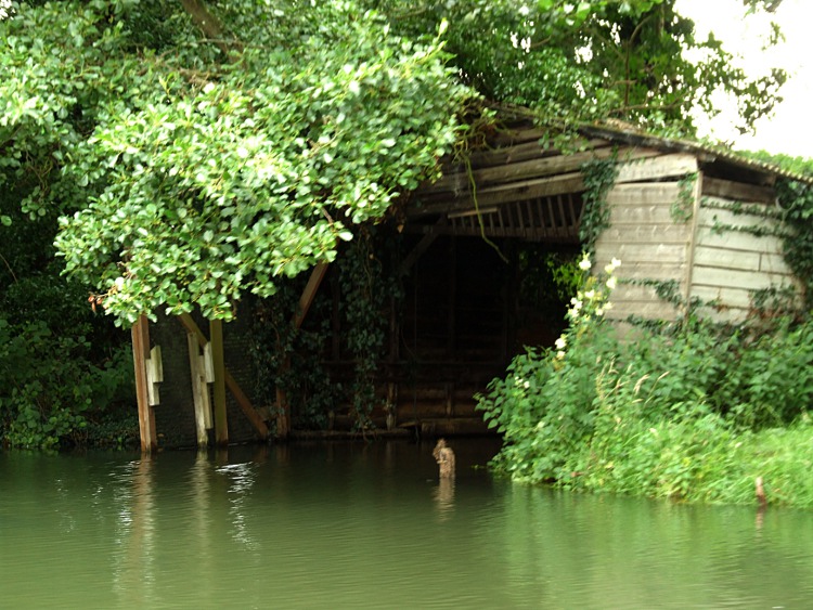 Derelict Boat House