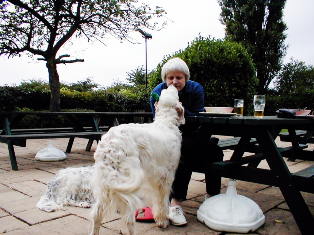 Radford Bank Inn Gardens