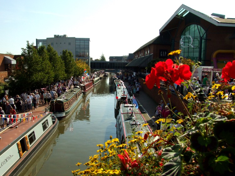 Flowers in Bloom on the Bridge
