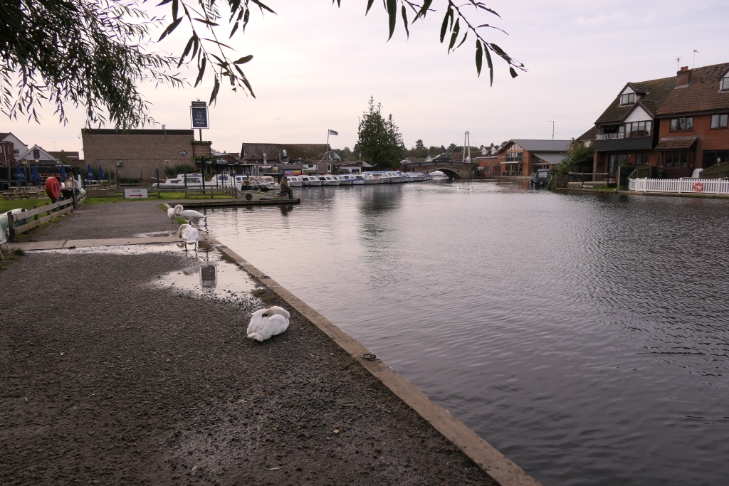 Wroxham Riverside