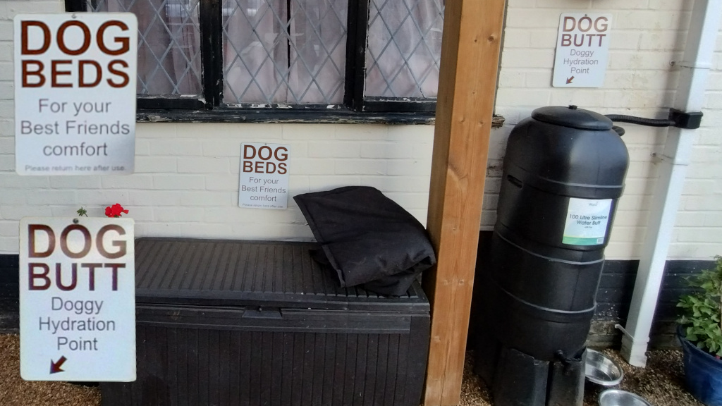Dog Friendly signs