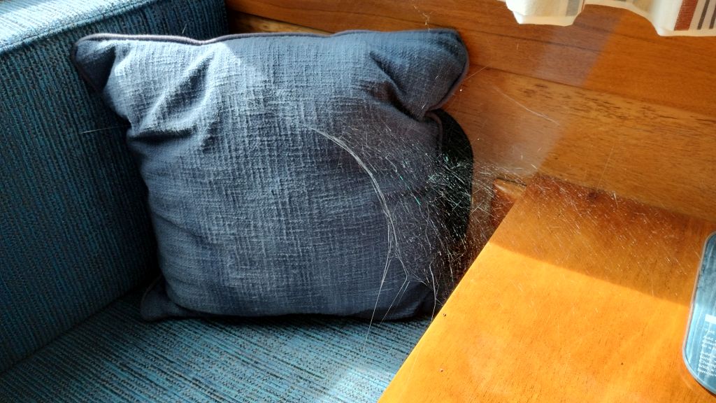 cushion covered in a cobweb