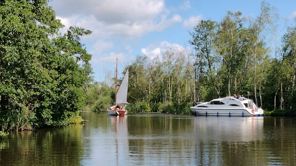 Reefed Yacht and Moored Cruiser