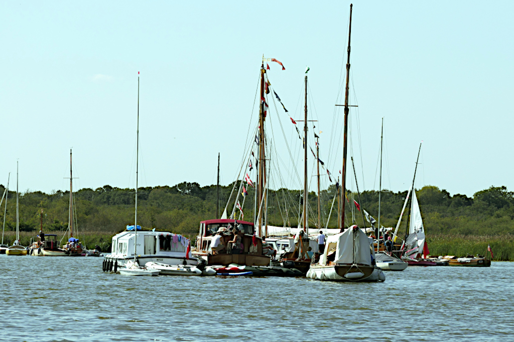 A Cluster of boats