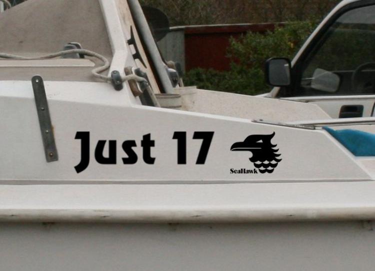 Just 17 - Boat Name Mock Up