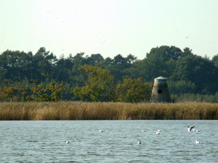 Mill on edge of Hickling Broad