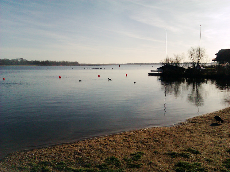 Hickling Broad in January