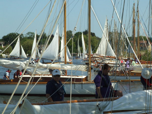 A crowd of masts and rigging